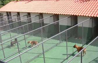 Chácara Recanto Hotel e Pet Shop - Foto 1