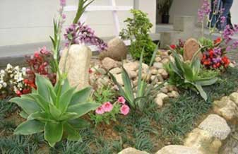 JR Jardinagens - Foto 1
