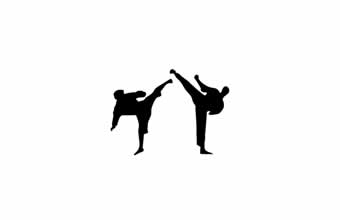Dojang – Academia de Artes Marciais - Foto 1