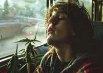 PM apreende adolescente com maconha em ônibus em Itu