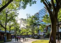 poda e limpeza em escolas