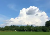 previsão do tempo em Itu