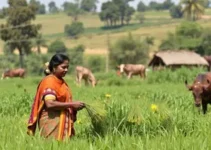 protagonismo feminino