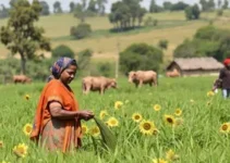 protagonismo feminino no agro