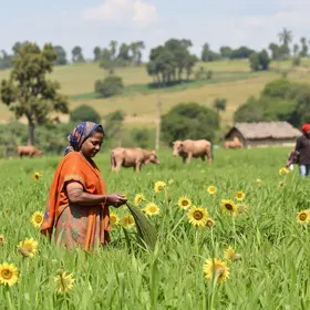 protagonismo feminino no agro