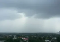 pancadas fortes e rápidas