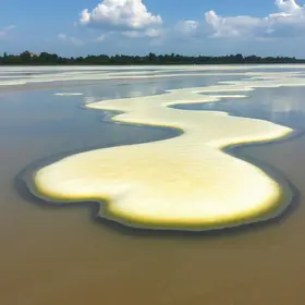 espuma tóxica Rio Tietê