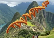 DNA de Agente