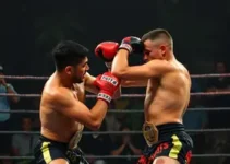 Jungle Fight