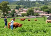 Sou + Agro