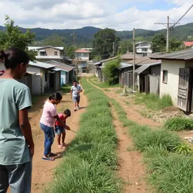 Programa Novos Caminhos
