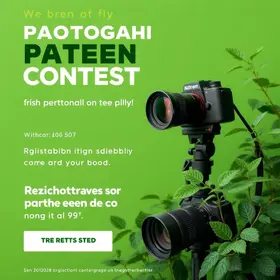 concurso fotográfico
