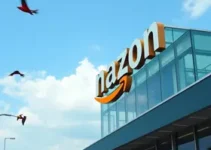 Amazona de Itu