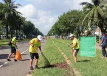 Dia Mundial da Limpeza