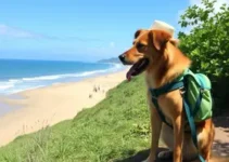 Turismo Pet Friendly