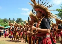 Festa da Cultura Nordestina